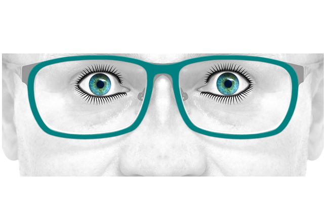 what to see in new orleans