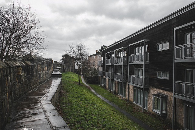 what to see in new york city