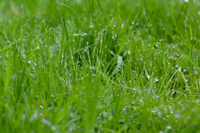 what to see in orlando