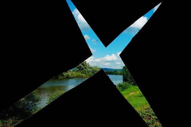 what to see in orlando