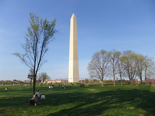 what to see in washington dc