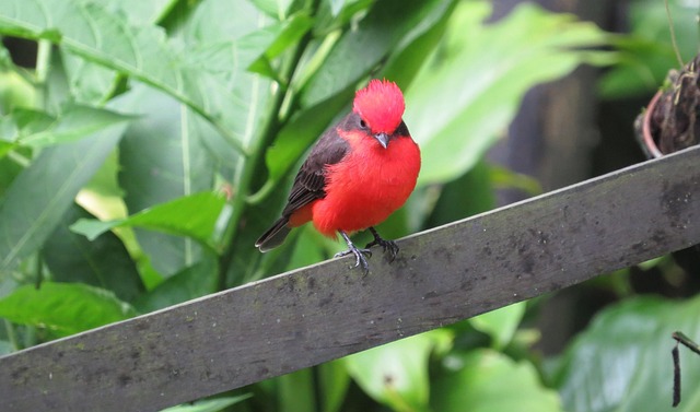 Cap Rate vs Cash on Cash: Navigating Investment Zones