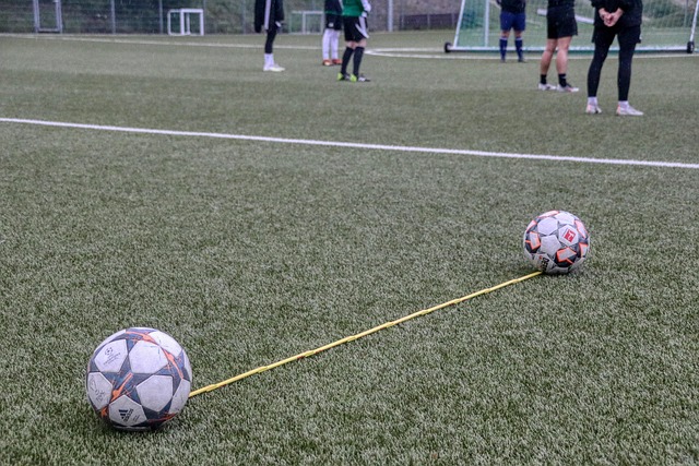 artificial turf rules phoenix neighborhoods