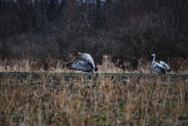 Asset-heavy migration