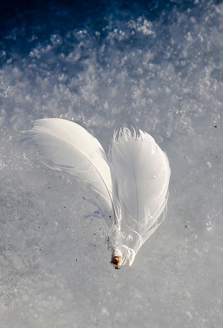 building a detached home office phoenix