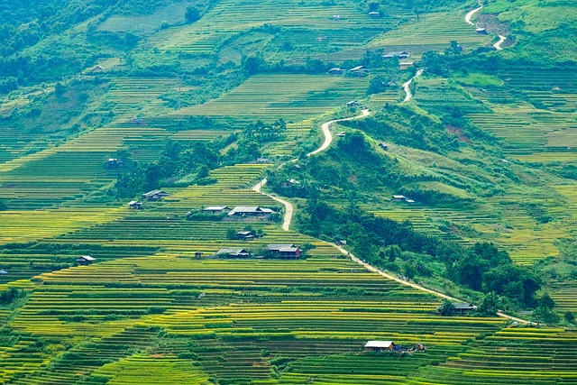 buy-and-hold areas west valley phoenix