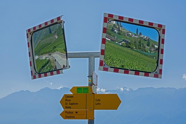 Career relocation guide