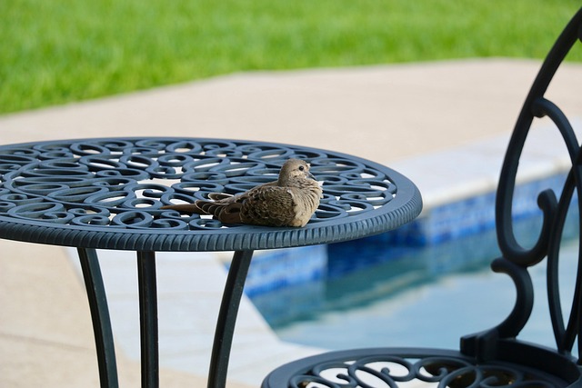 Covered patio living
