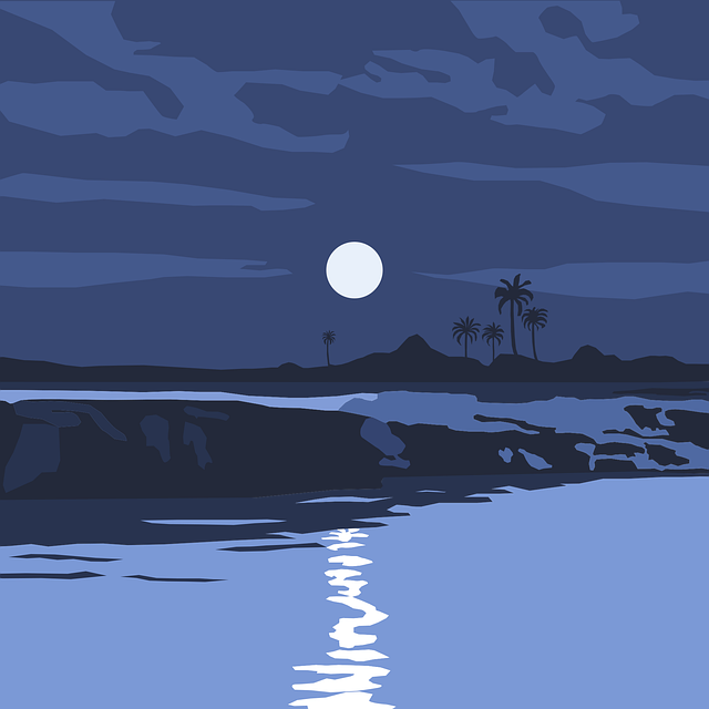 Desert landscape design