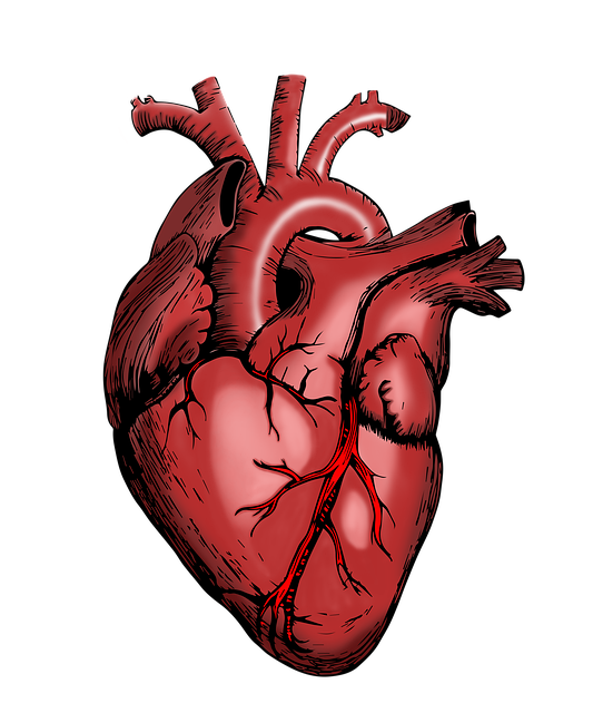 downtown phoenix healthcare education engine housing