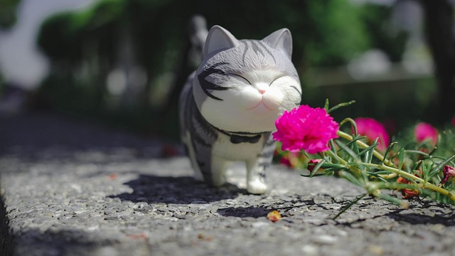 downtown phoenix walk score for professionals