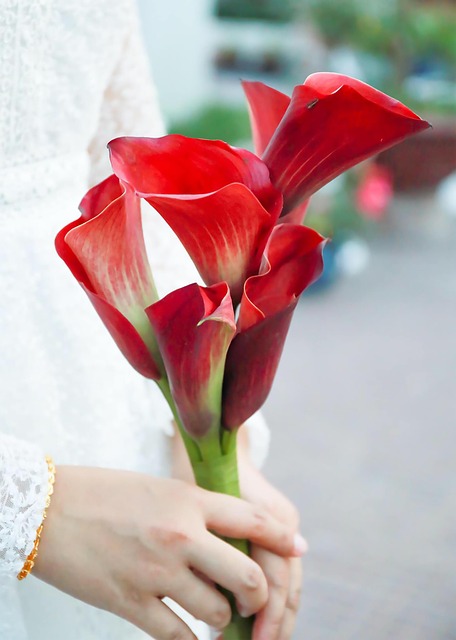 drought-resistant gardening phoenix hoas