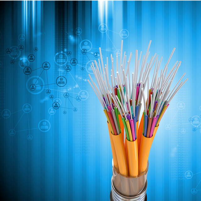 Economic migration data