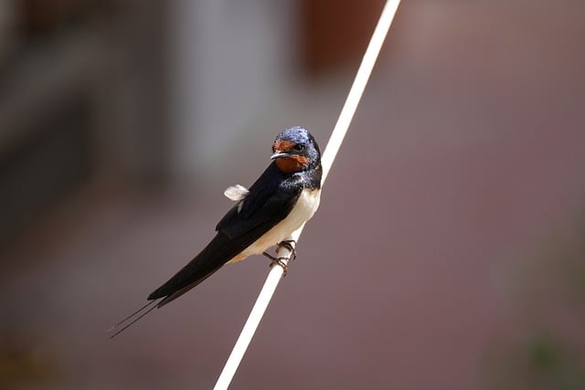 Unveiling Global Equity Migration Patterns: Economic Data Insights