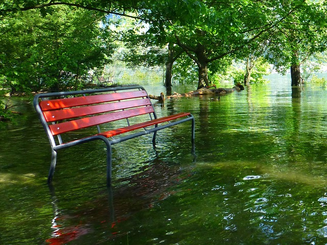 flood insurance
