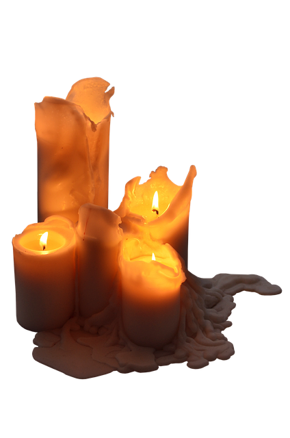 heat resilient landscaping for phoenix homes