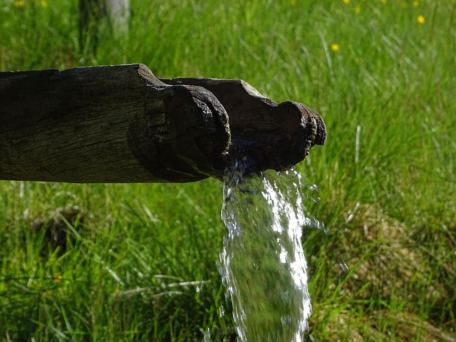 High-end property features