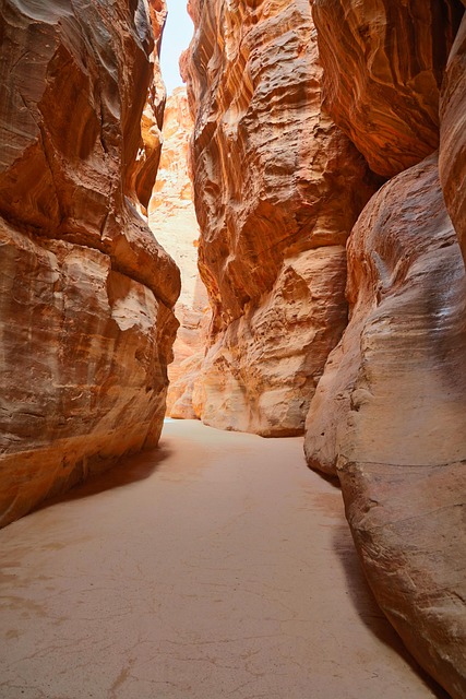 homes for sale near shade phoenix plan corridors