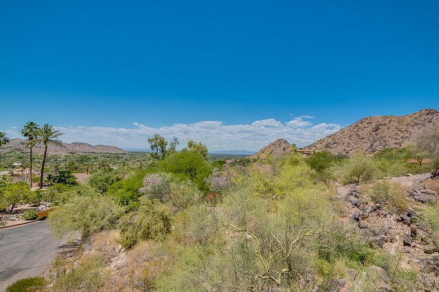 homes for sale paradise valley