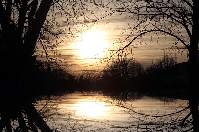 homes for sale sun city west