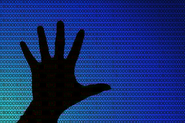 internet availability