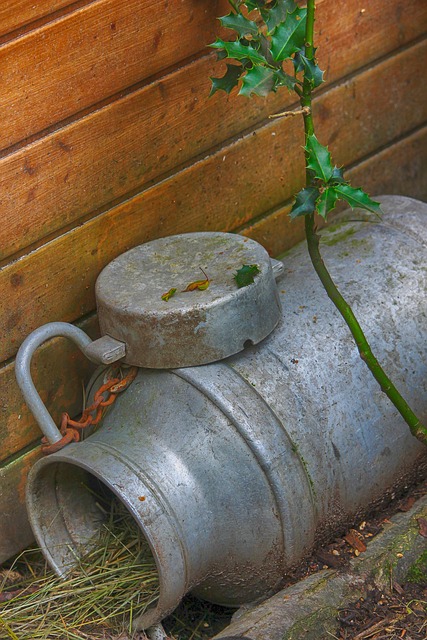 living in PV phoenix former mall redevelopment