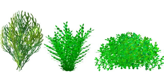 Low-maintenance landscaping