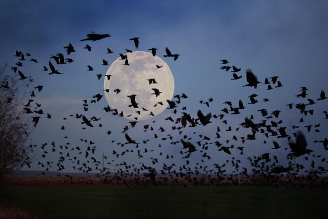 Months of Inventory: Unlocking Investor Decisions through Lending Data