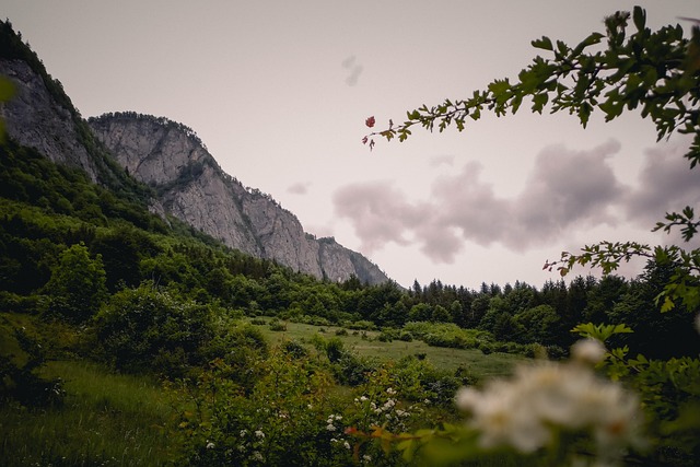 moving to superstition vistas for value