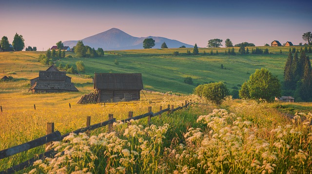 phoenix drought tolerant backyard design 2026