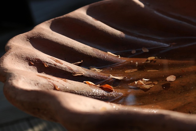 Pool-ready homesites