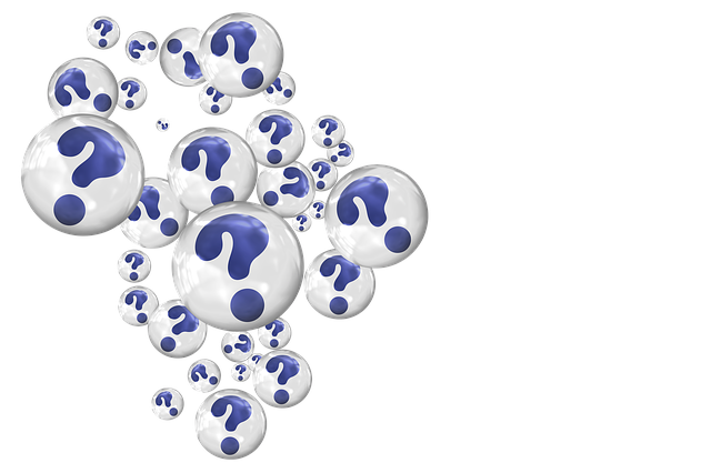 questions to ask a realtor