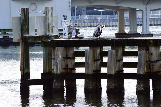 Explore Tampa Nightlife: Events, Safety & Top Attractions