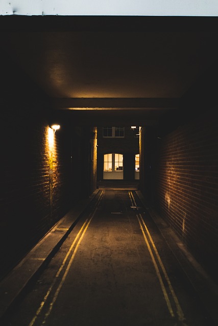 Flourishing Campus-Adjacent Communities in Phoenix Tech Corridor