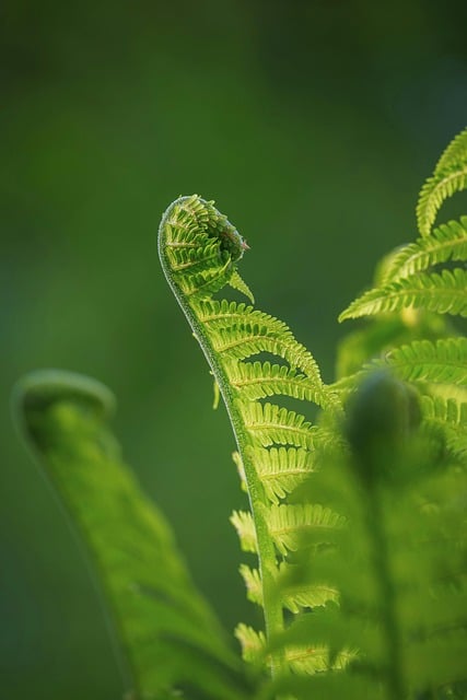 Therapeutic environments