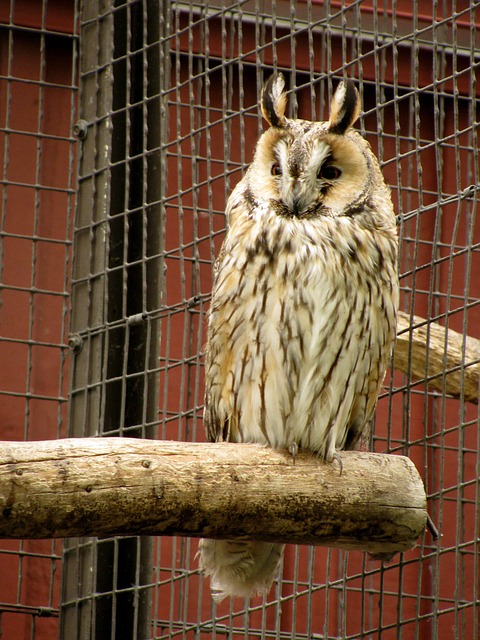 things to do in atlanta