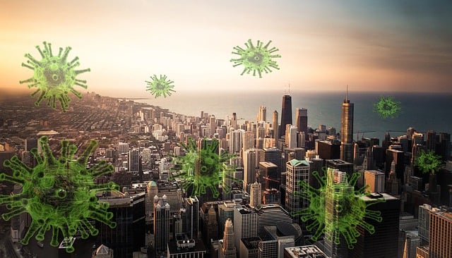 things to do in chicago