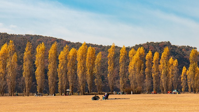 things to do in dallas