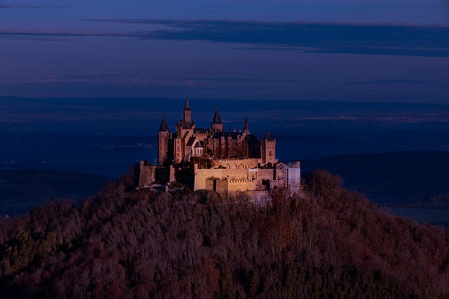 things to do in fort lauderdale