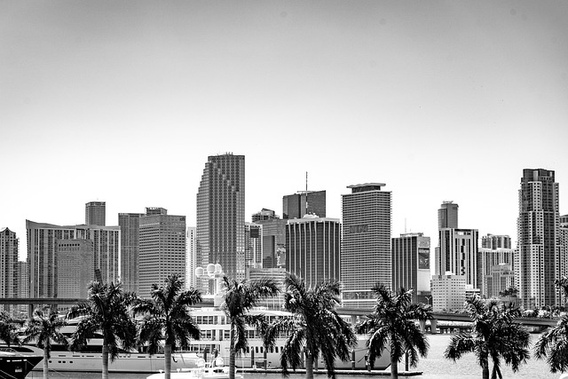 things to do in miami