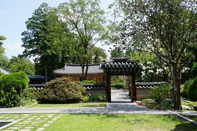 things to do in tampa