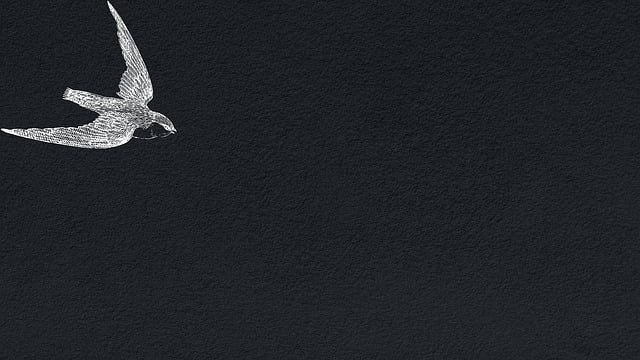 Understanding Title Fees’ Impact on Borrower Strategies Today