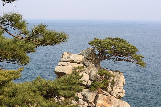 what to see in baltimore