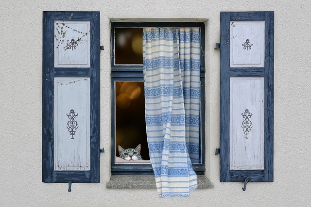 what to see in dallas