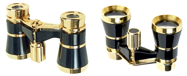 what to see in dallas