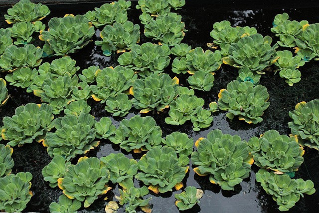 what to see in denver