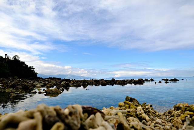 what to see in denver