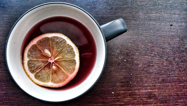 what to see in fort lauderdale