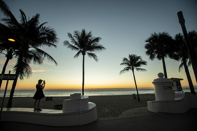 what to see in fort lauderdale