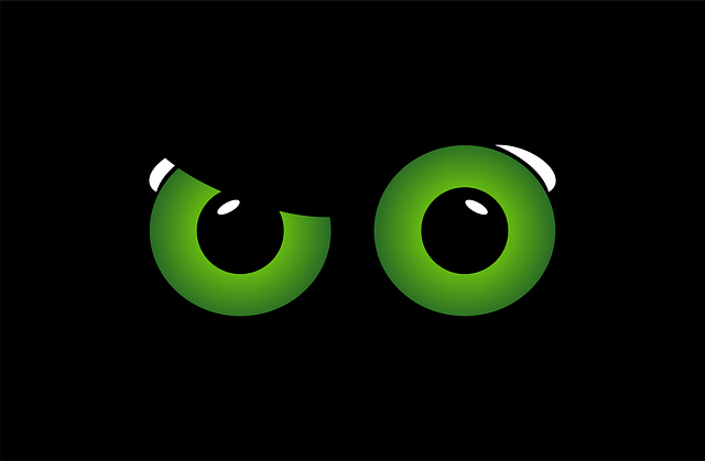 what to see in fort lauderdale